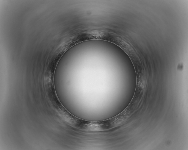 X0000091000518200708091543