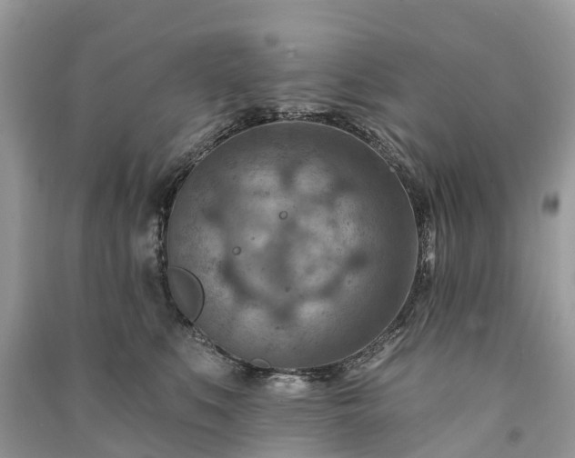 X0000091000519200708091543