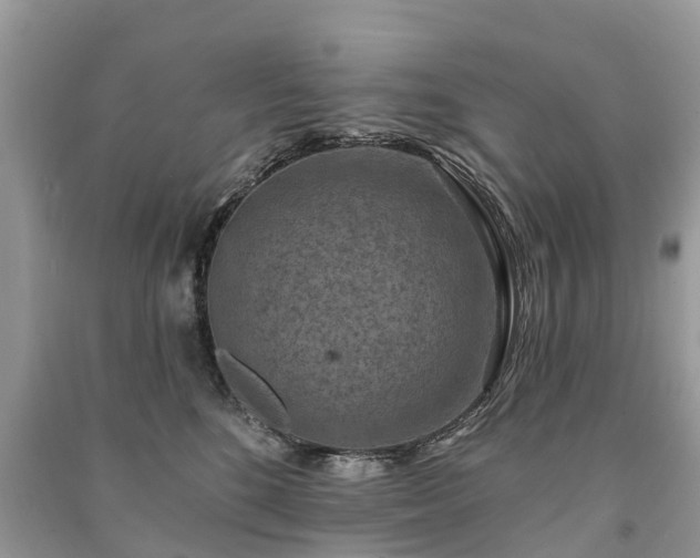 X0000091000520200708091543