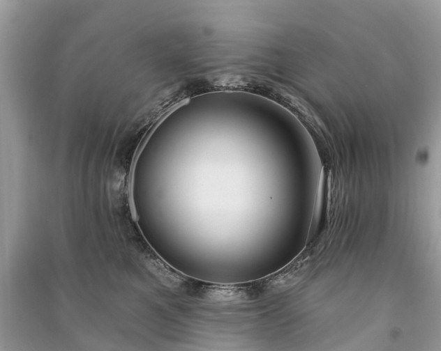 X0000091000521200708091543
