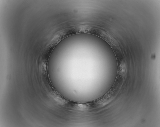 X0000091000522200708091543