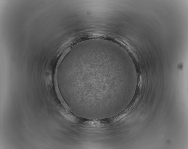 X0000091000524200708091543