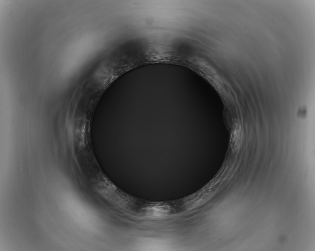 X0000091000525200708091543