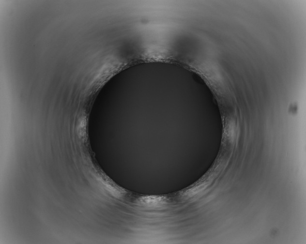 X0000091000526200708091542
