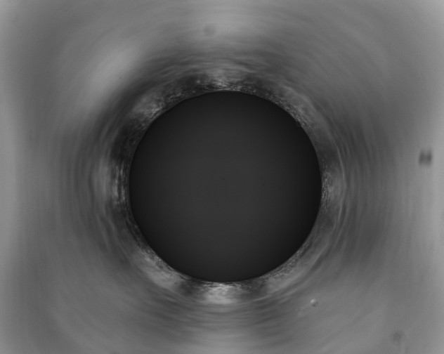 X0000091000527200708091542
