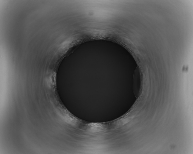 X0000091000528200708091542