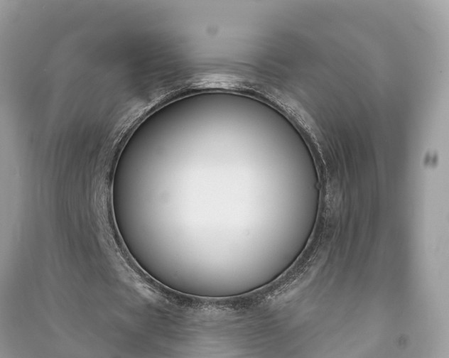 X0000091000529200708091542