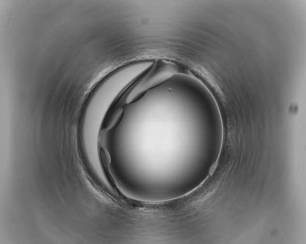 X0000091000530200708091542