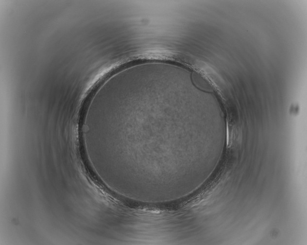 X0000091000531200708091542