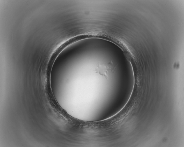 X0000091000532200708091542