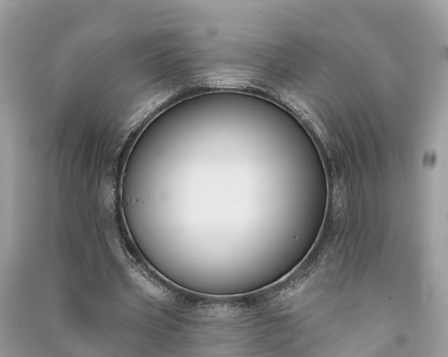 X0000091000533200708091542