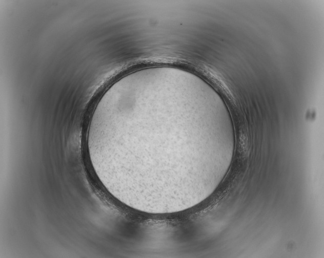 X0000091000534200708091542