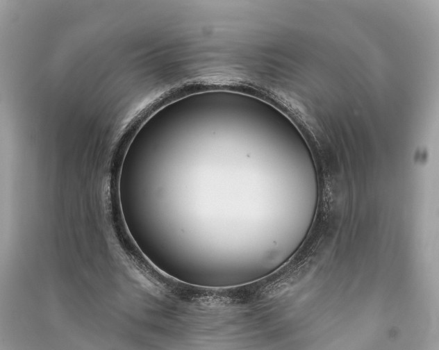 X0000091000535200708091542