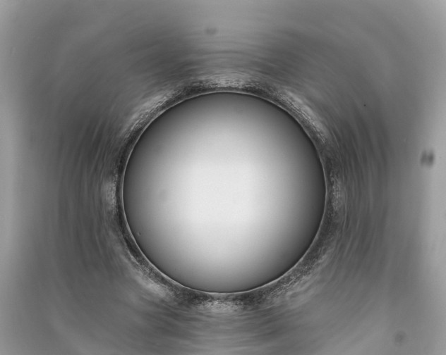 X0000091000537200708091542
