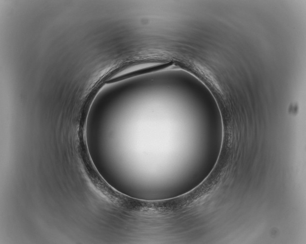 X0000091000538200708091542