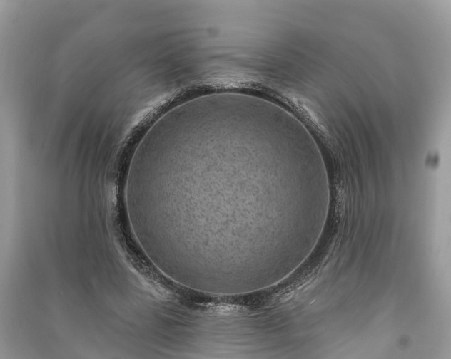 X0000091000539200708091542