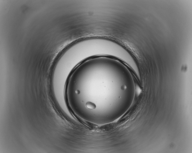 X0000091000540200708091542
