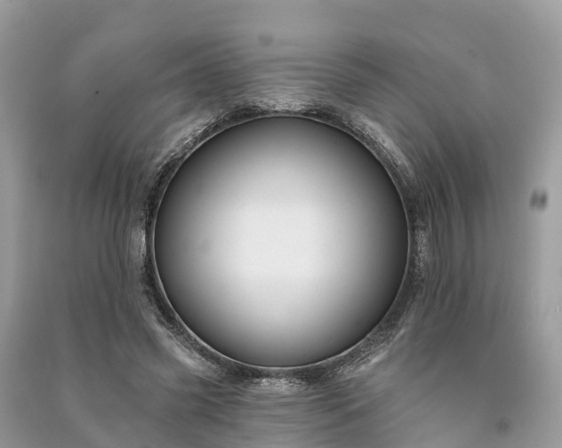 X0000091000541200708091542