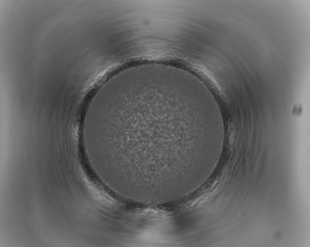 X0000091000542200708091542