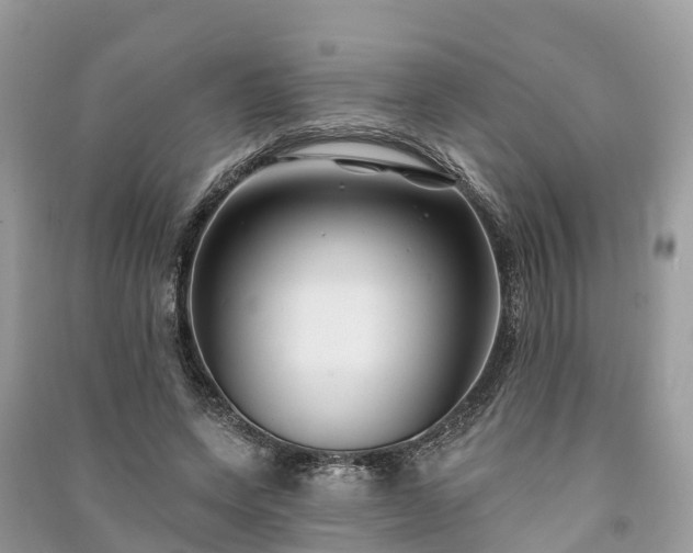 X0000091000543200708091542