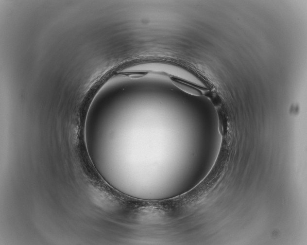 X0000091000544200708091542