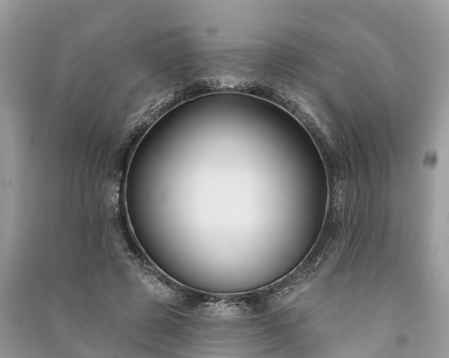 X0000091000545200708091542