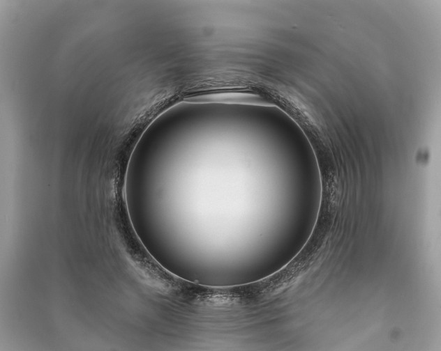 X0000091000546200708091542