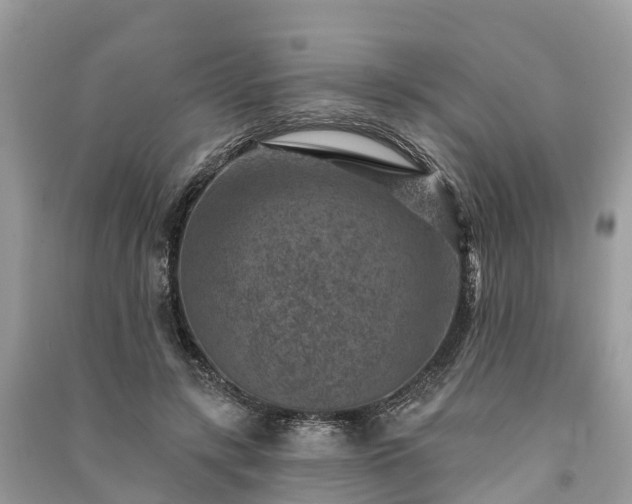 X0000091000547200708091542