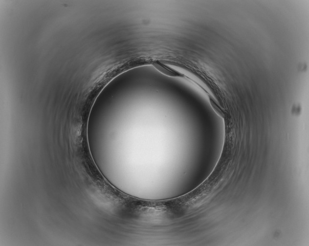 X0000091000548200708091542