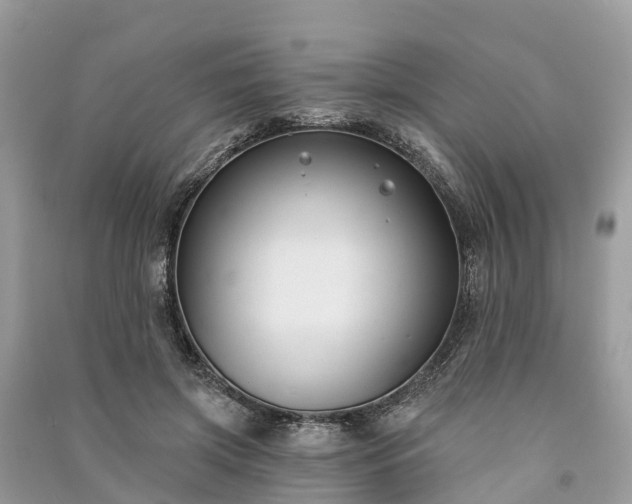 X0000091000549200708091542