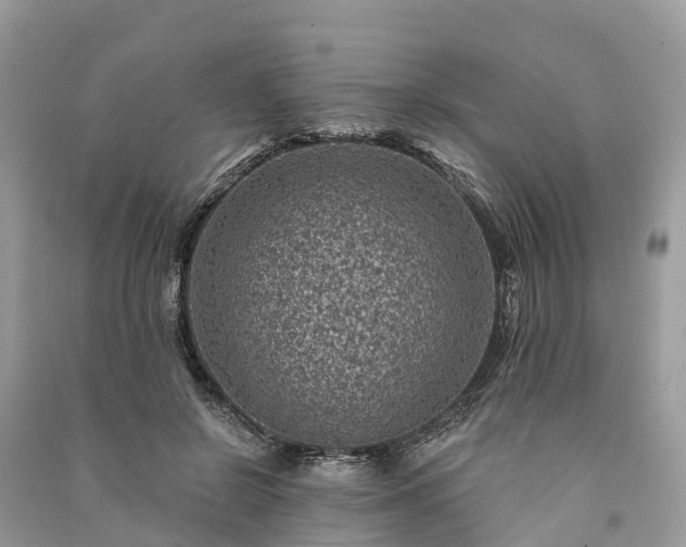 X0000091000550200708091542
