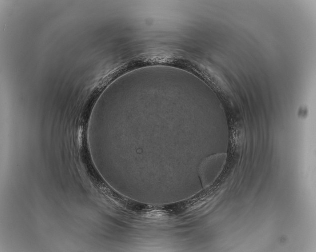 X0000091000551200708091542