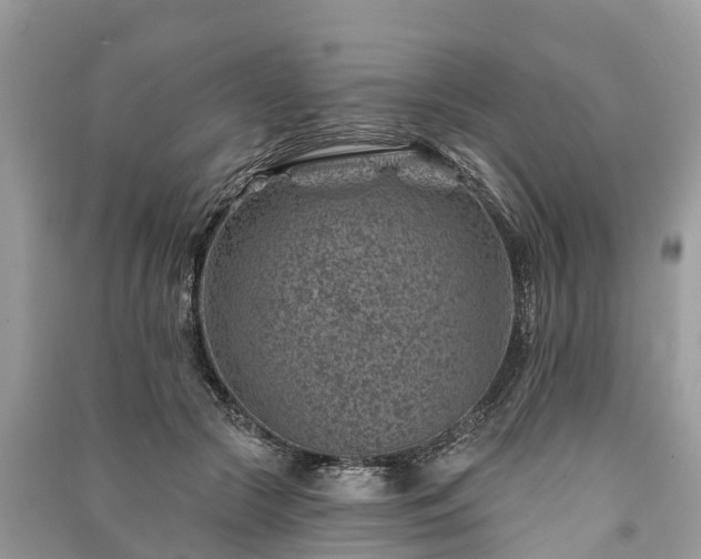 X0000091000553200708091542