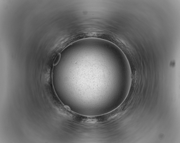 X0000091000554200708091542