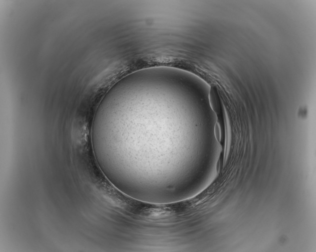 X0000091000555200708091542