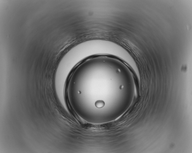 X0000091000556200708091542