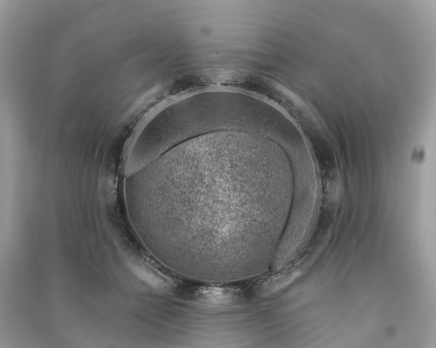 X0000091000558200708091542
