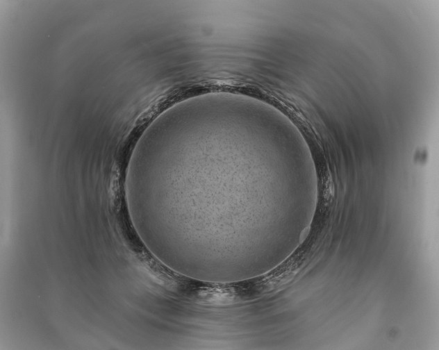 X0000091000559200708091542