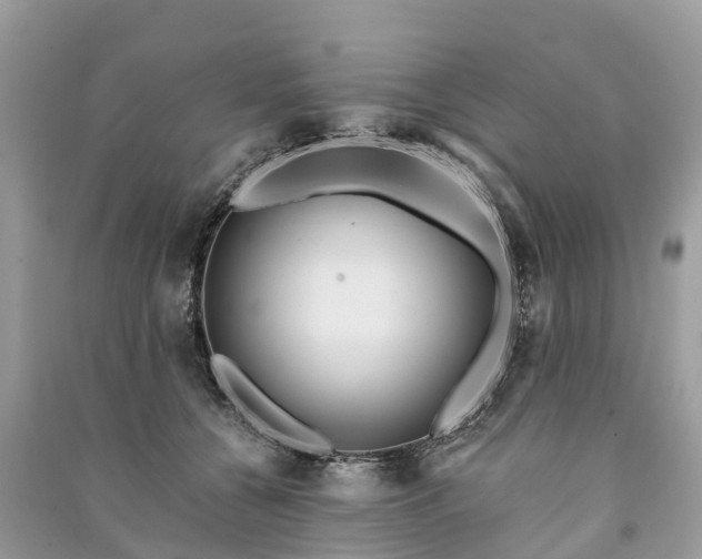 X0000091000560200708091542