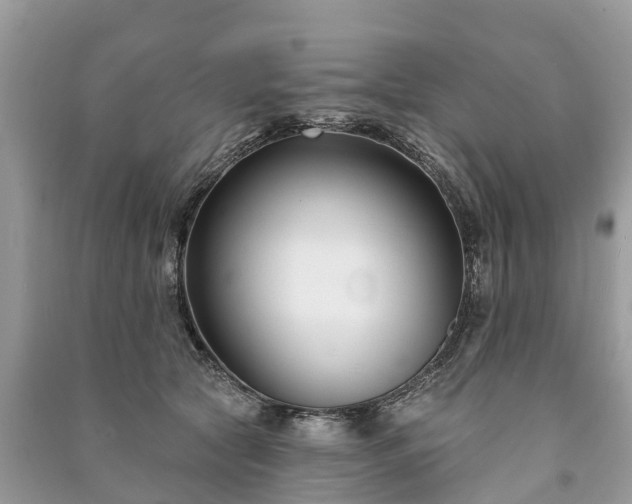 X0000091000561200708091542