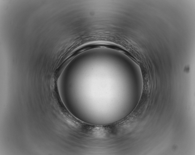 X0000091000562200708091542