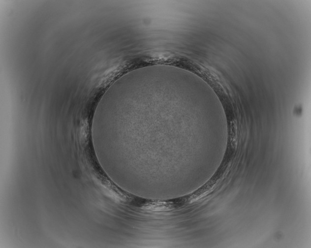 X0000091000563200708091542