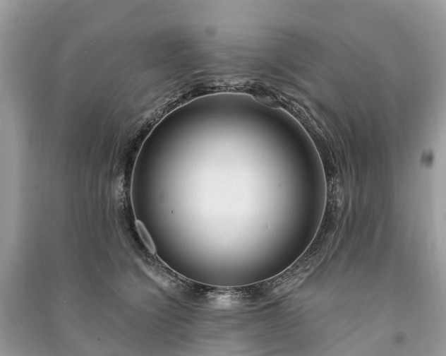 X0000091000564200708091542