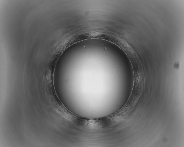 X0000091000565200708091542