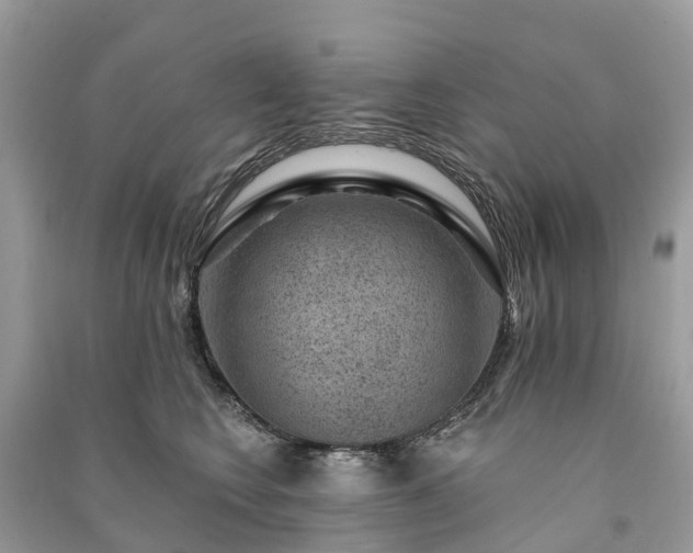X0000091000566200708091542