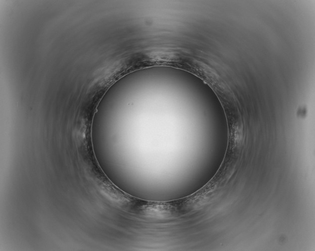 X0000091000567200708091542