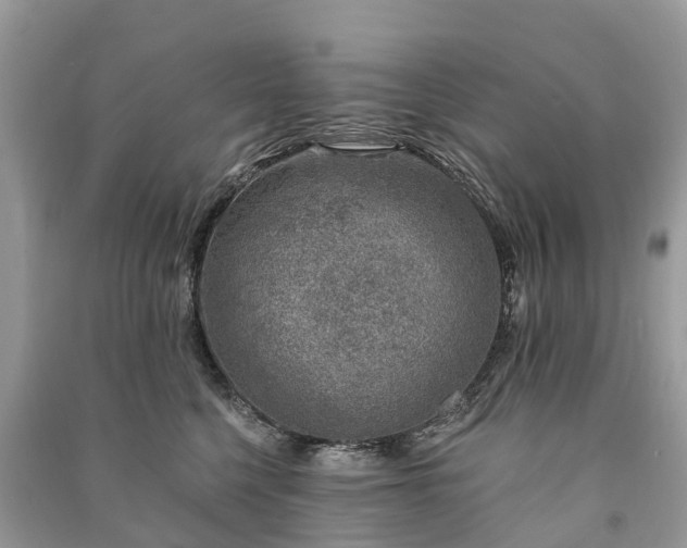 X0000091000568200708091542