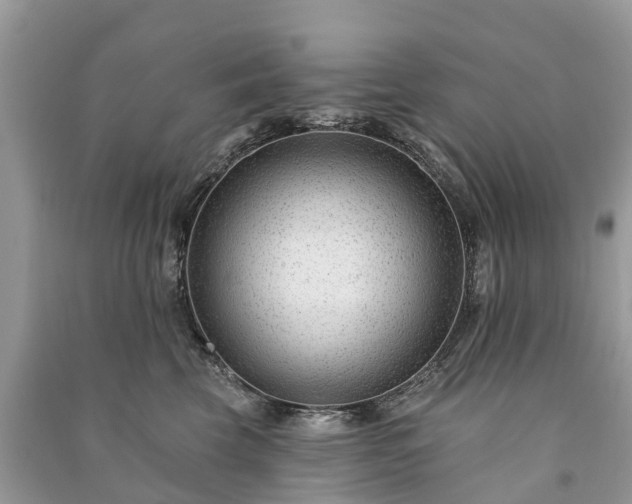 X0000091000569200708091542