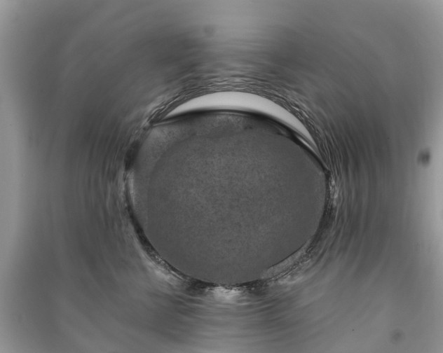 X0000091000570200708091542