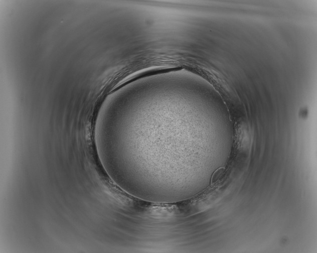 X0000091000571200708091542